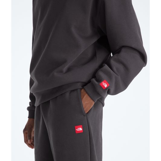 The North Face Men's Red Box Hoodie in Obsidian