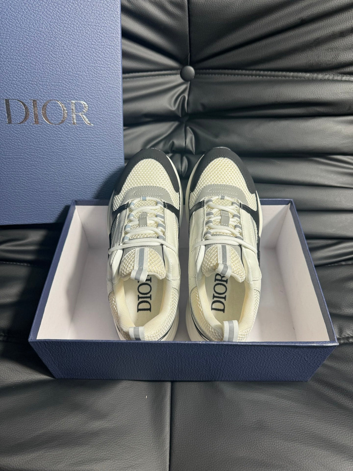 Dior B22 Calfskin Sneakers