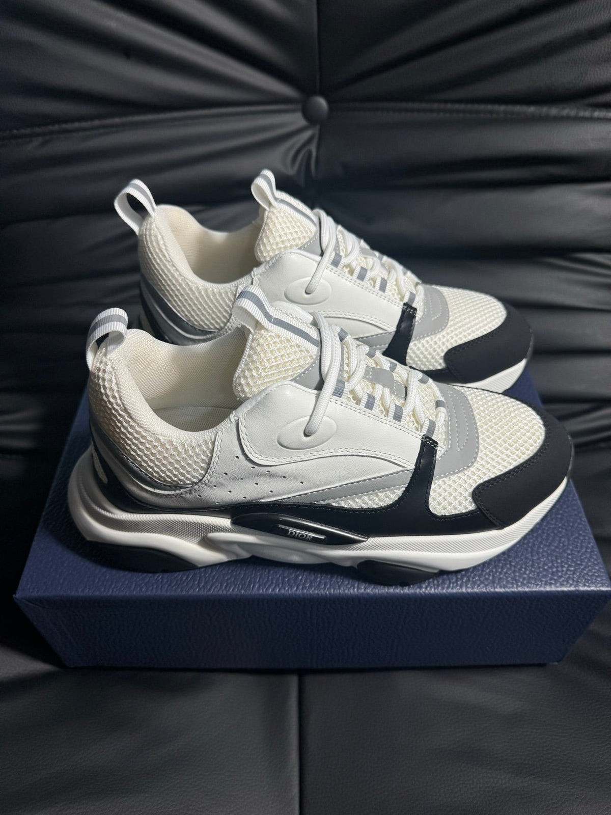 Dior B22 Calfskin Sneakers