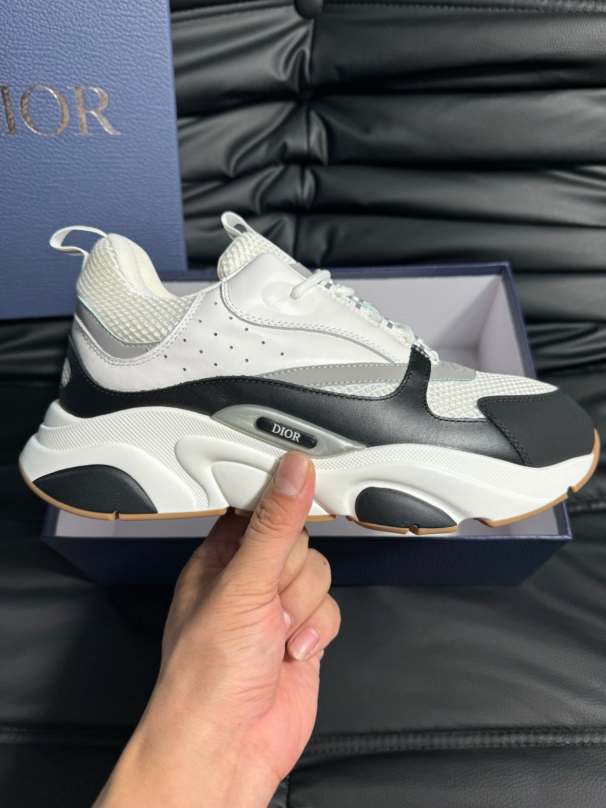 Dior B22 Calfskin Sneakers