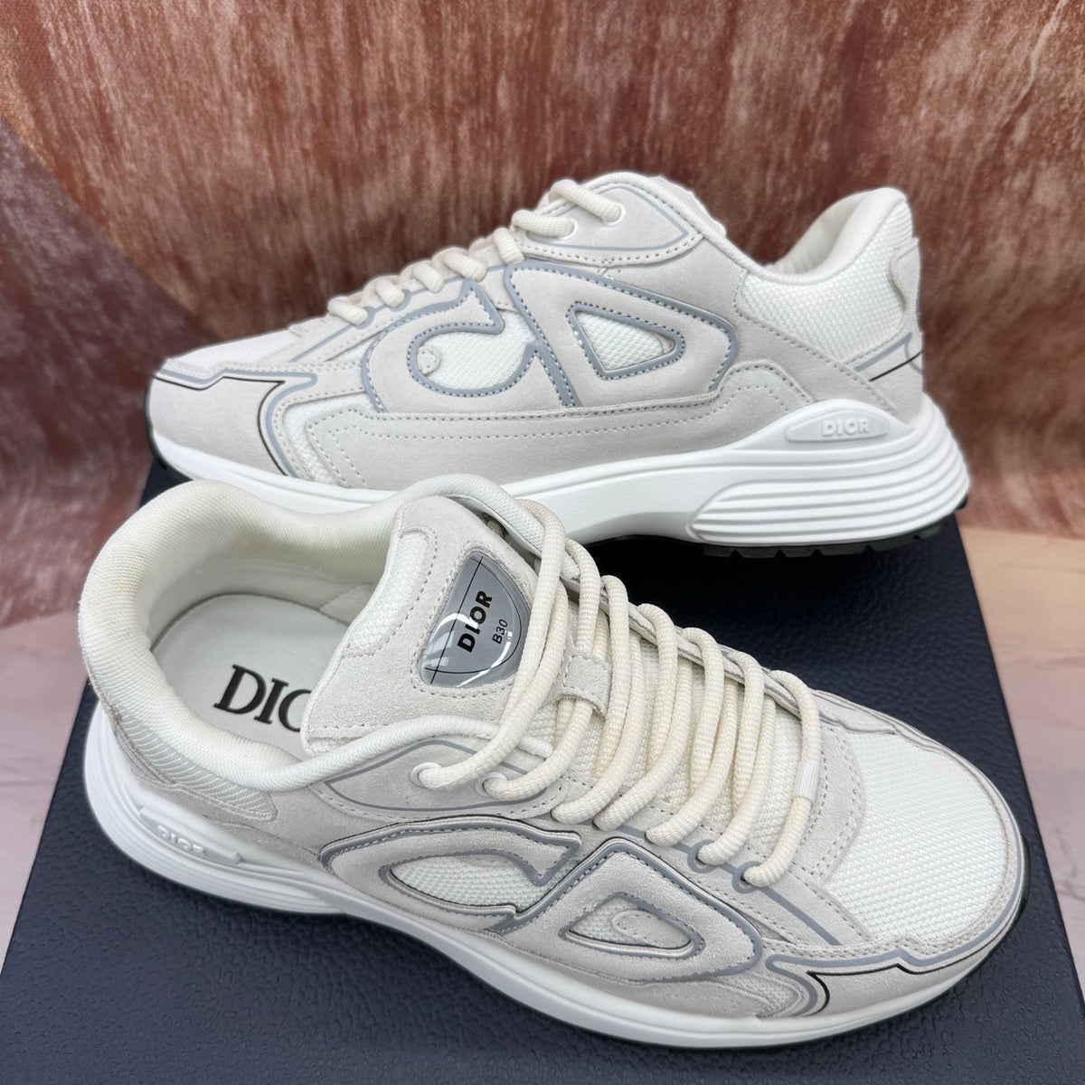 Dior B30 Low-Top Sneakers