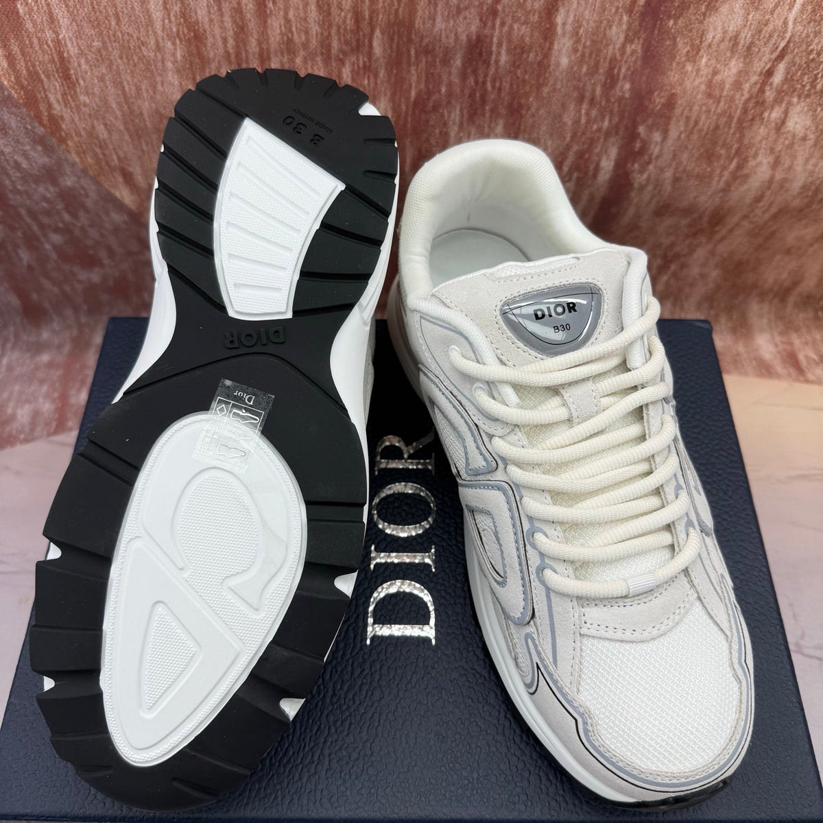 Dior B30 Low-Top Sneakers