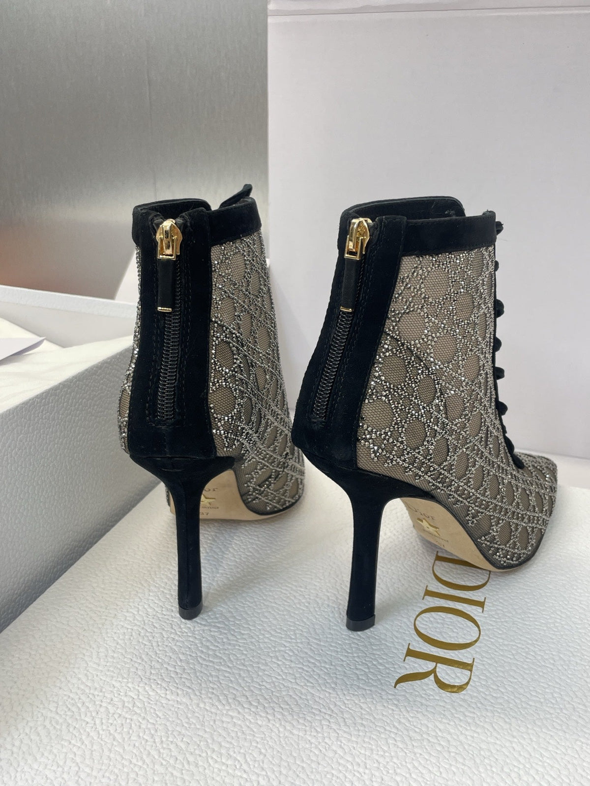 Dior CD-Capture Crystal High-Heel Ankle Boots – 2025 Spring/Summer Runway