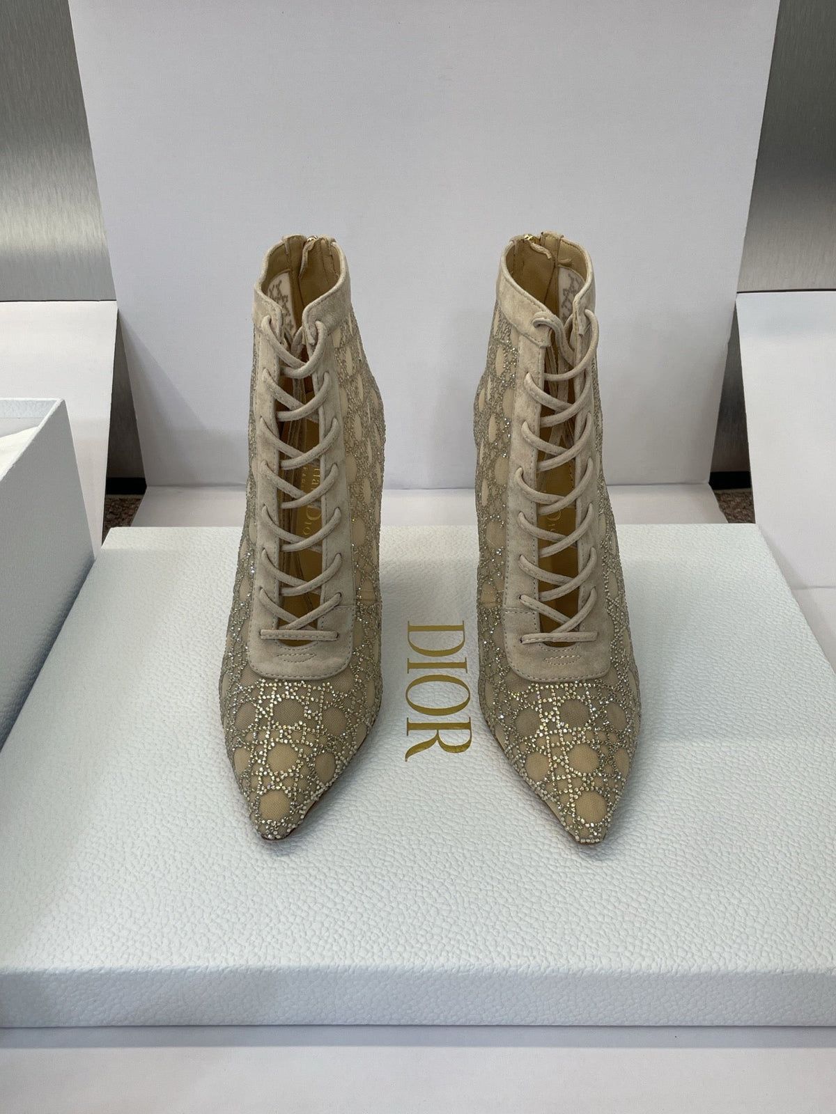 Dior CD-Capture Crystal High-Heel Ankle Boots – 2025 Spring/Summer Runway