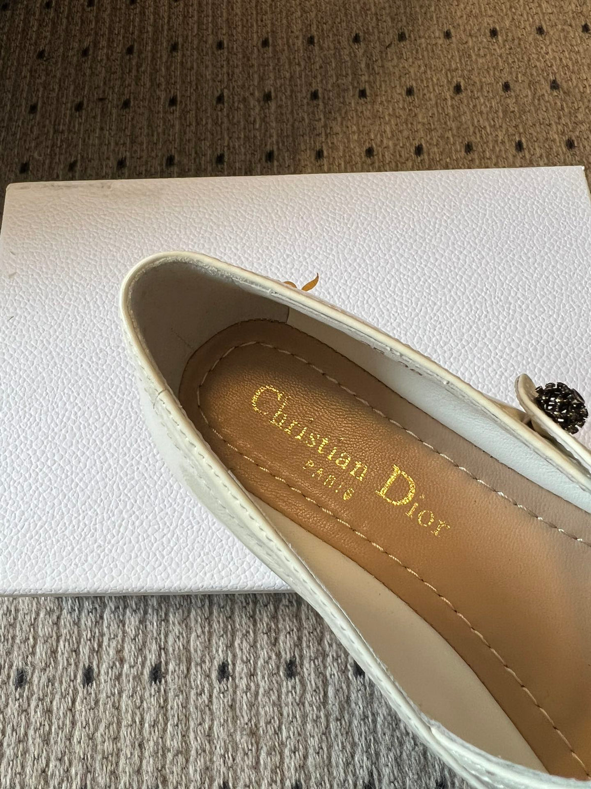 Dior Flat Mary Jane Shoes – 25SS