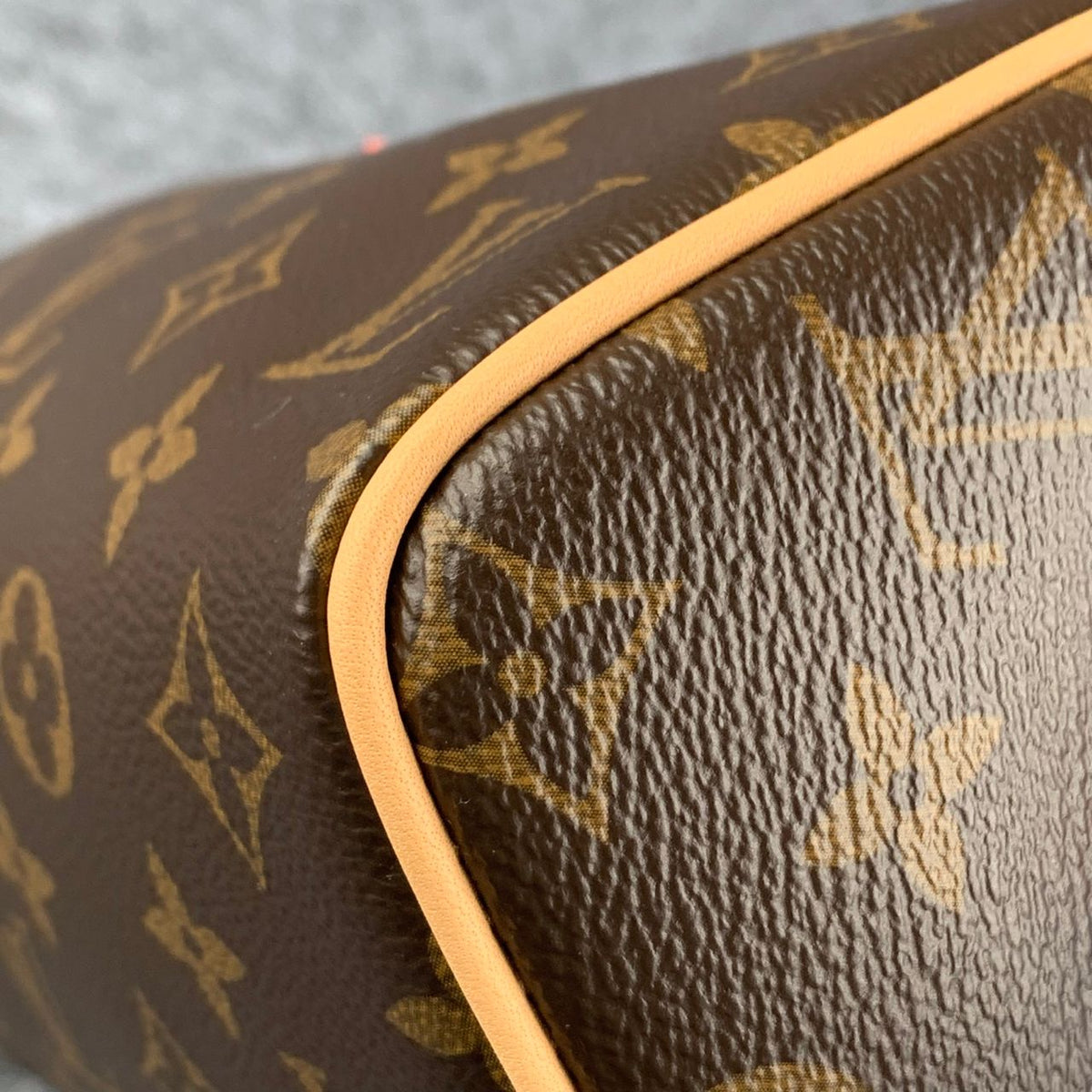 LV Speedy Bandoulière 20 Bag
