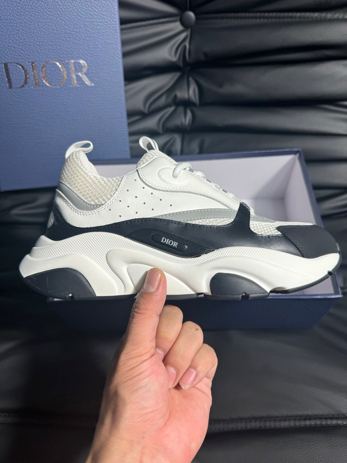 Dior B22 Calfskin Sneakers