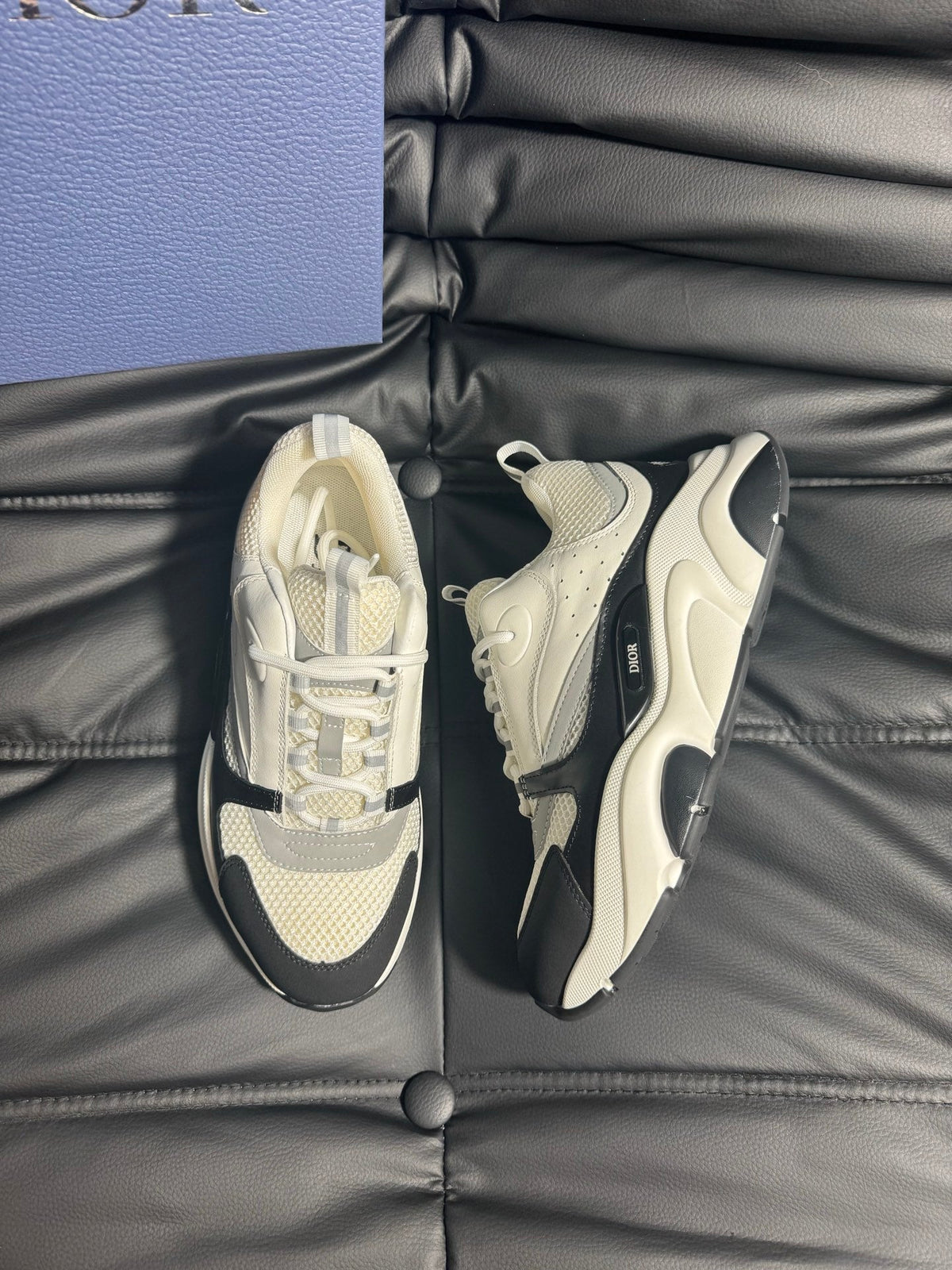 Dior B22 Calfskin Sneakers