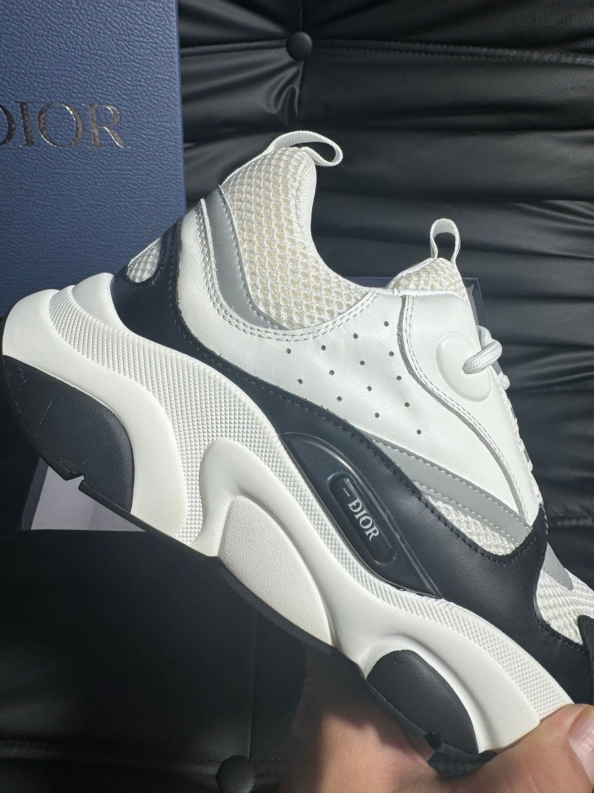 Dior B22 Calfskin Sneakers