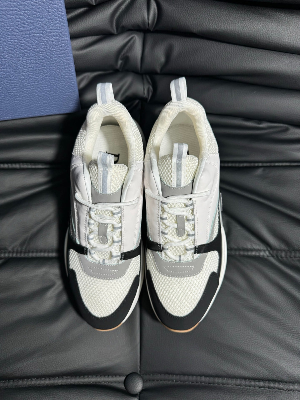 Dior B22 Calfskin Sneakers