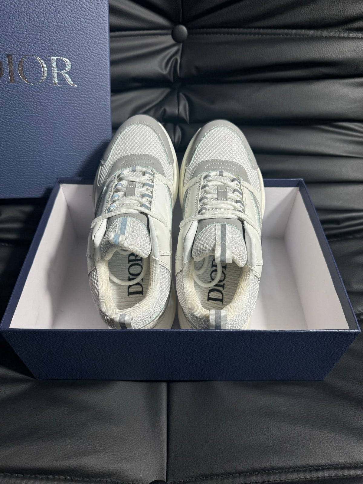 Dior B22 Calfskin Sneakers