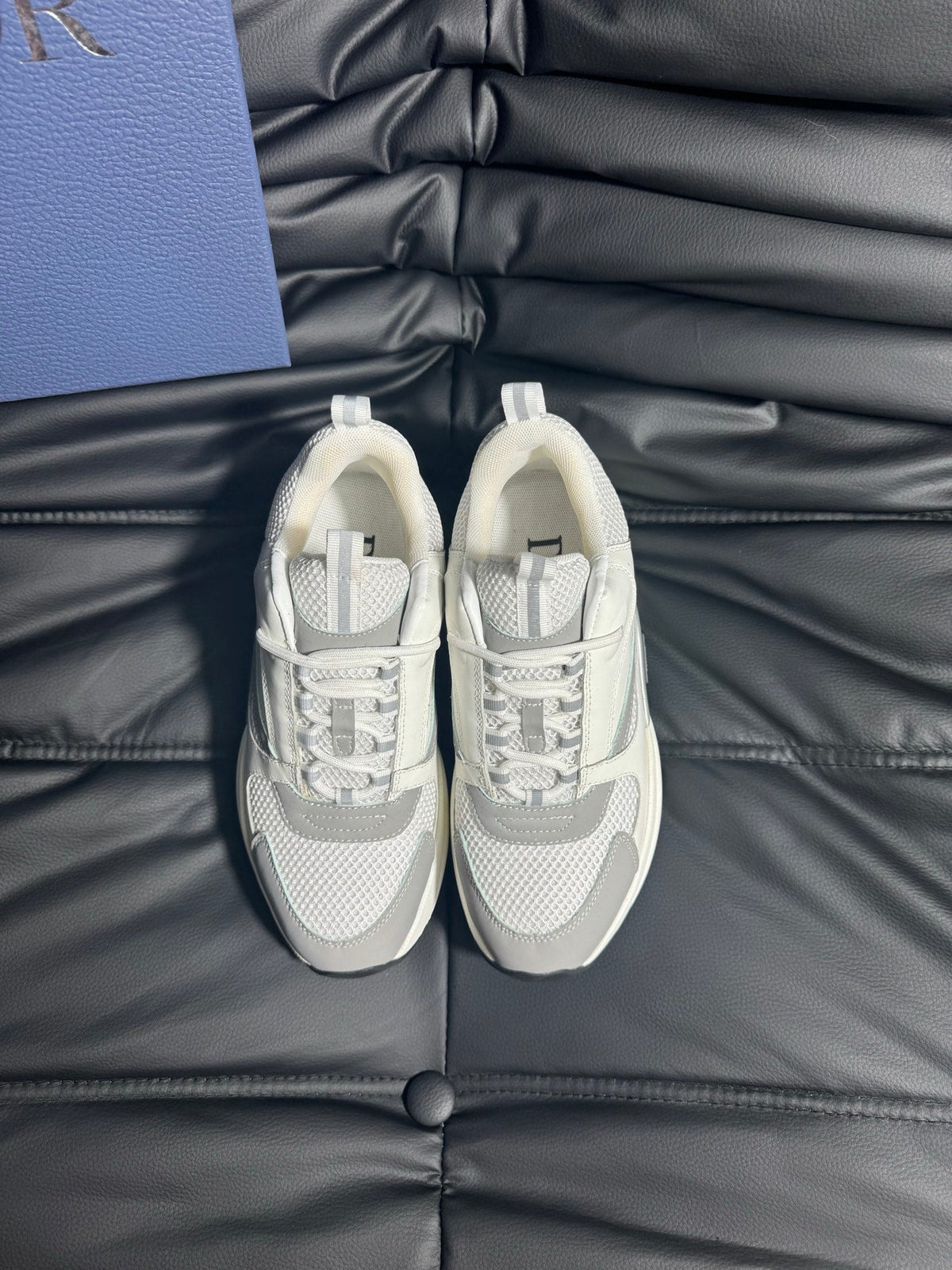 Dior B22 Calfskin Sneakers