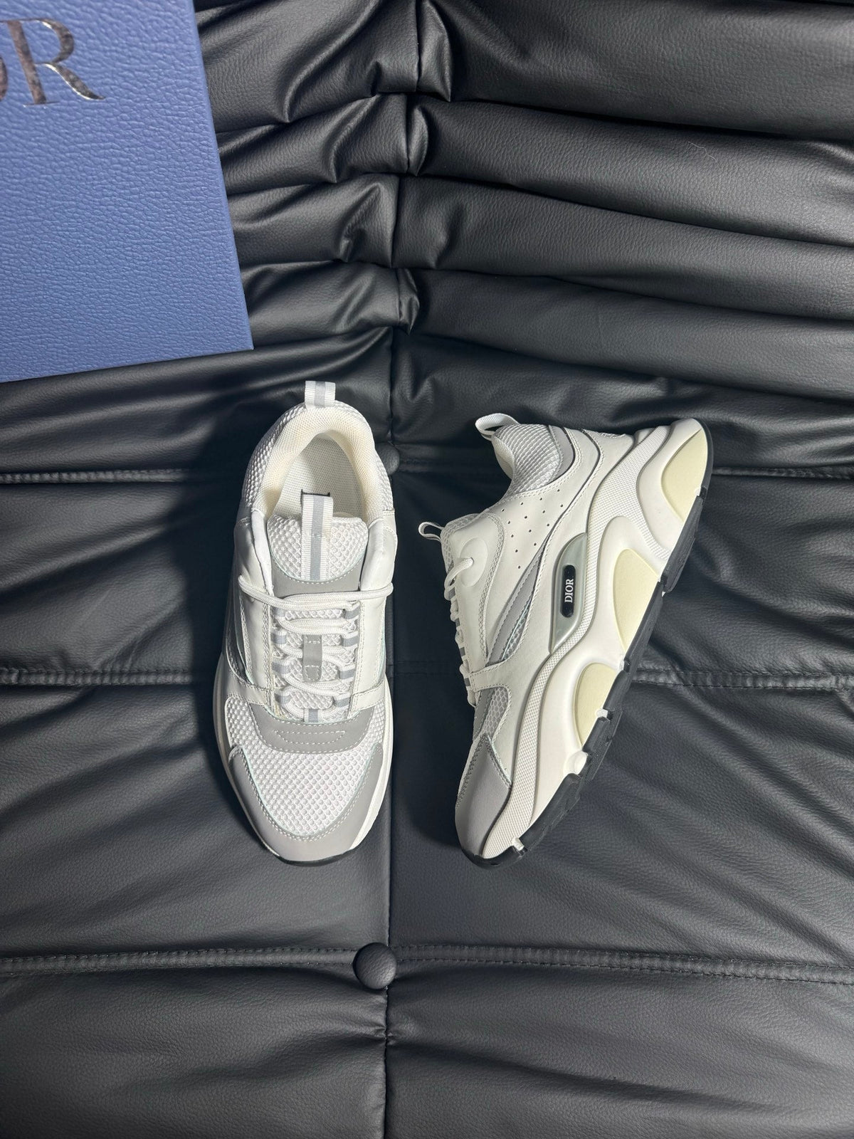Dior B22 Calfskin Sneakers