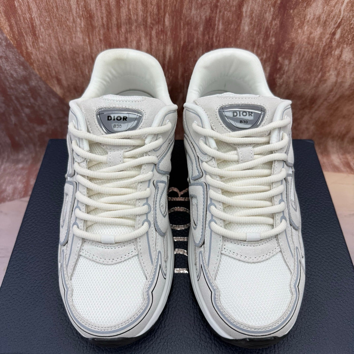 Dior B30 Low-Top Sneakers